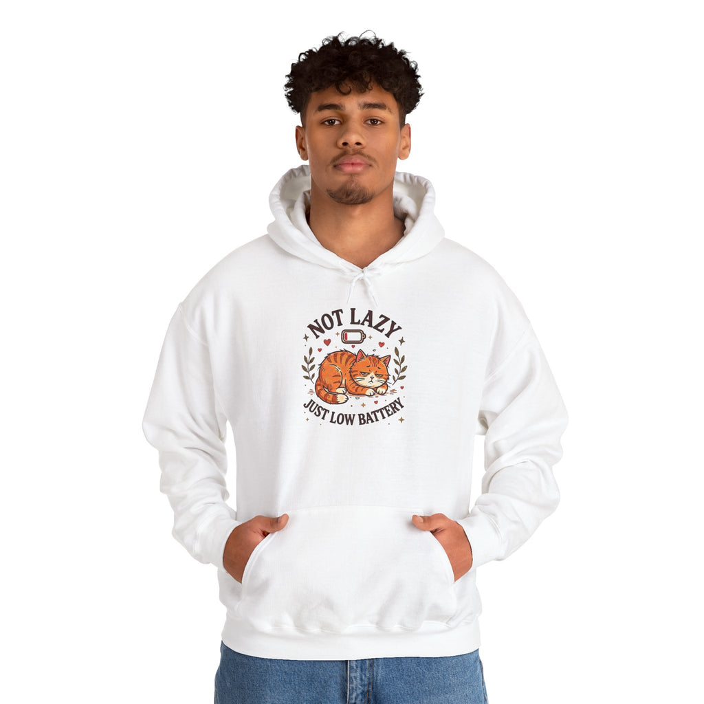 Not Lazy Just Low Battery Cat Hoodie – Funny Tired Cat Hoodie