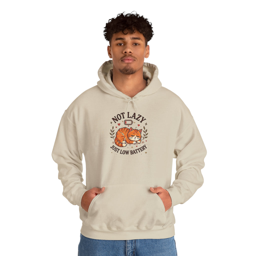 Not Lazy Just Low Battery Cat Hoodie – Funny Tired Cat Hoodie