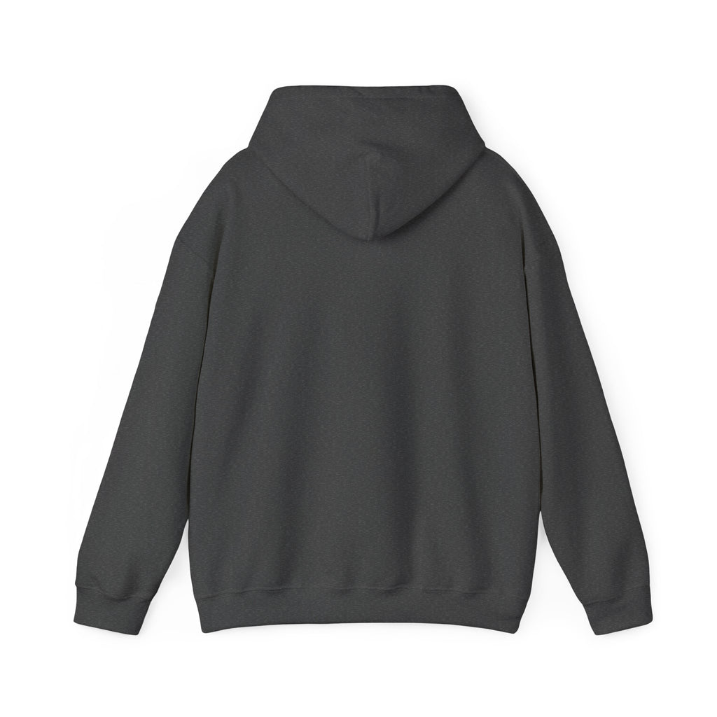 Running on Pumpkin Spice Cat Halloween Hoodie – Cozy Fall Cat Hoodie